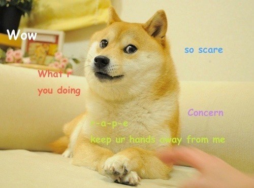 dog wow doing so scare concern p e keep ur hands away